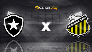 Assistir Botafogo x Novorizontino ao vivo online 22/03/2025