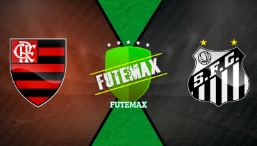 Assistir Flamengo x Santos ao vivo online 09/11/2025